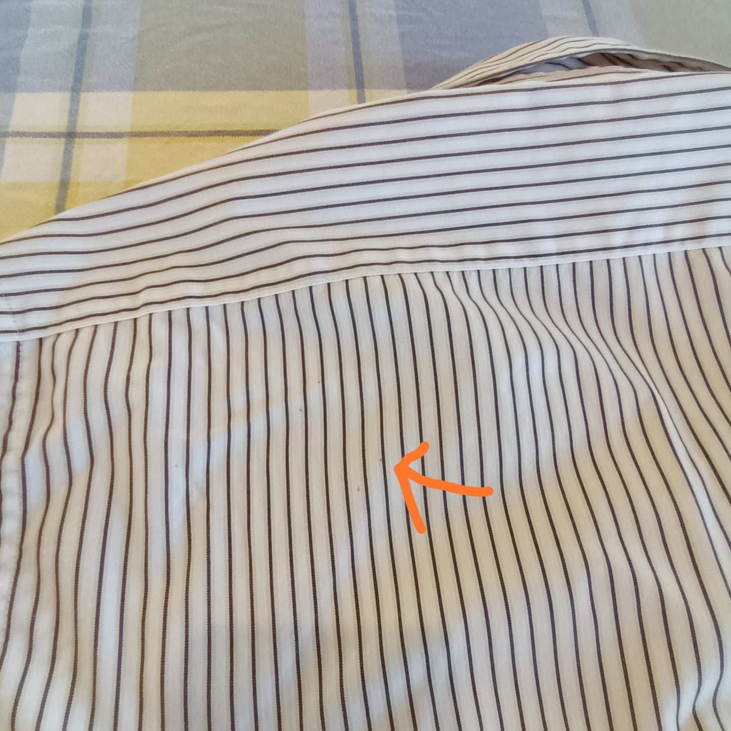Harry Day cream pin striped shirt